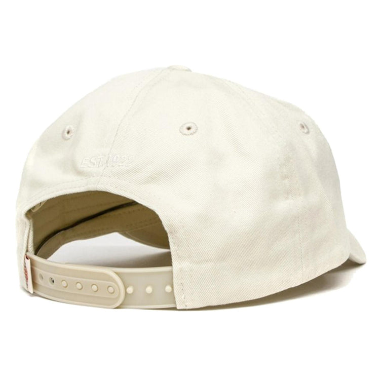  DK0A4TKVLTP1  DICKIES 