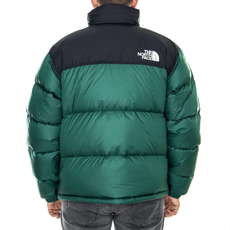  T93C8DN3P  THE NORTH FACE 