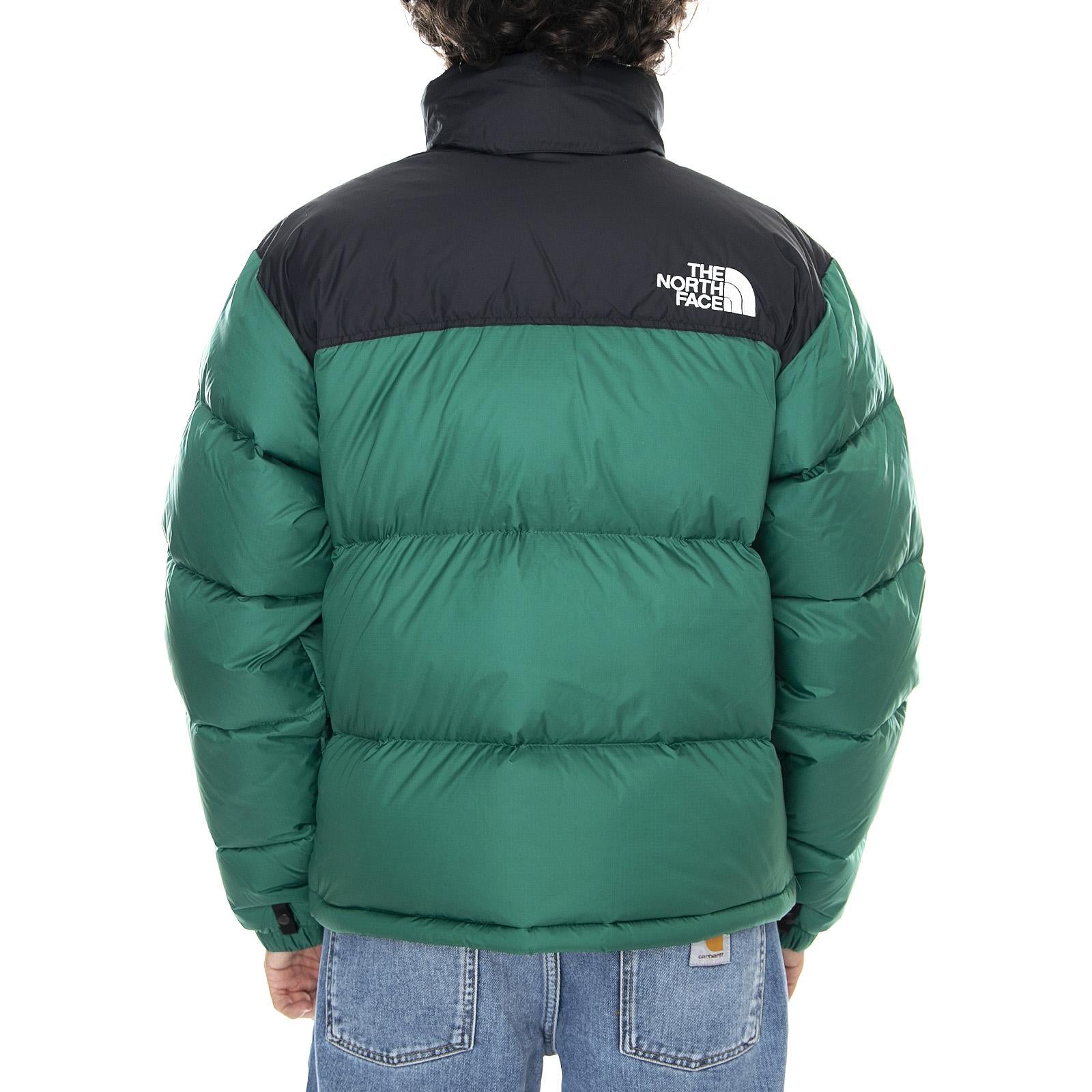  NF0A3C8DNL11  THE NORTH FACE 