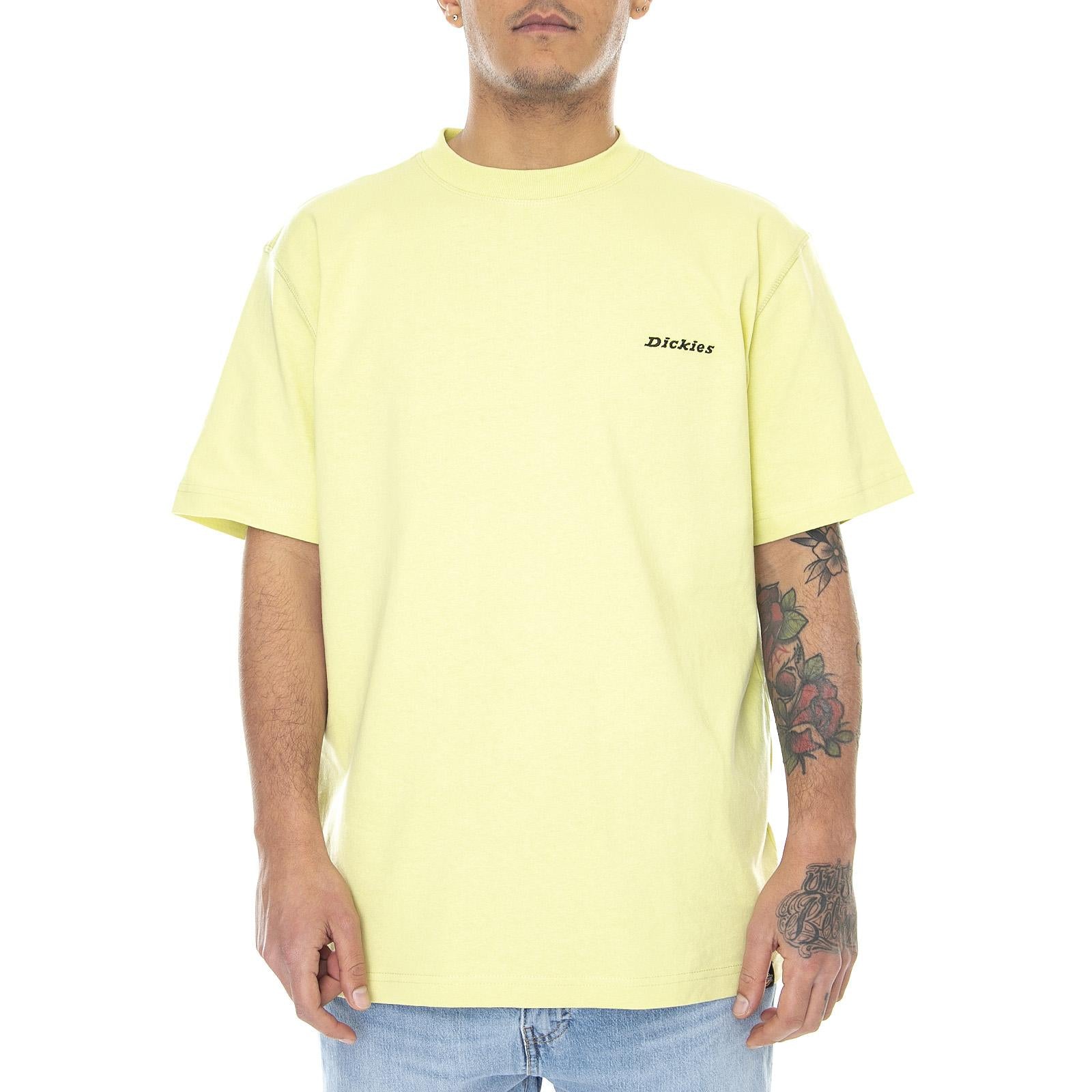  DK0A4X9OB541  DICKIES 