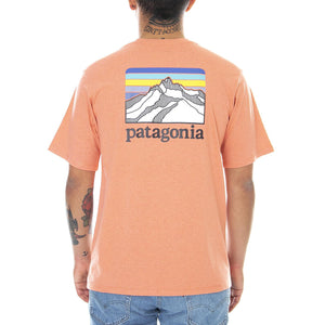  38511-COHC  PATAGONIA 