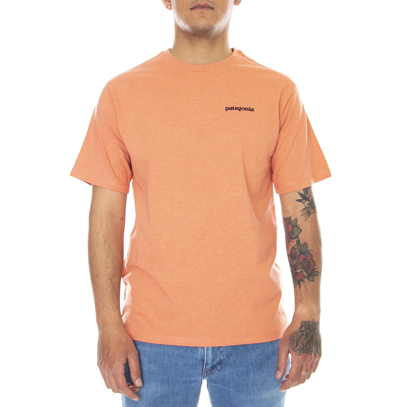  38504-COHC  PATAGONIA 