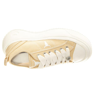 Intentions Sand / White Canvas / Brave White - Scarpe Donna Beige WSPINTENTIONS-SANWHT  WINDSOR SMITH 