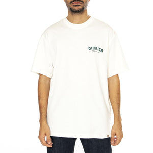 Dickies Builder Tee SS Cloud - Maglietta Girocollo Uomo Bianca DK0A85SYC581  DICKIES 