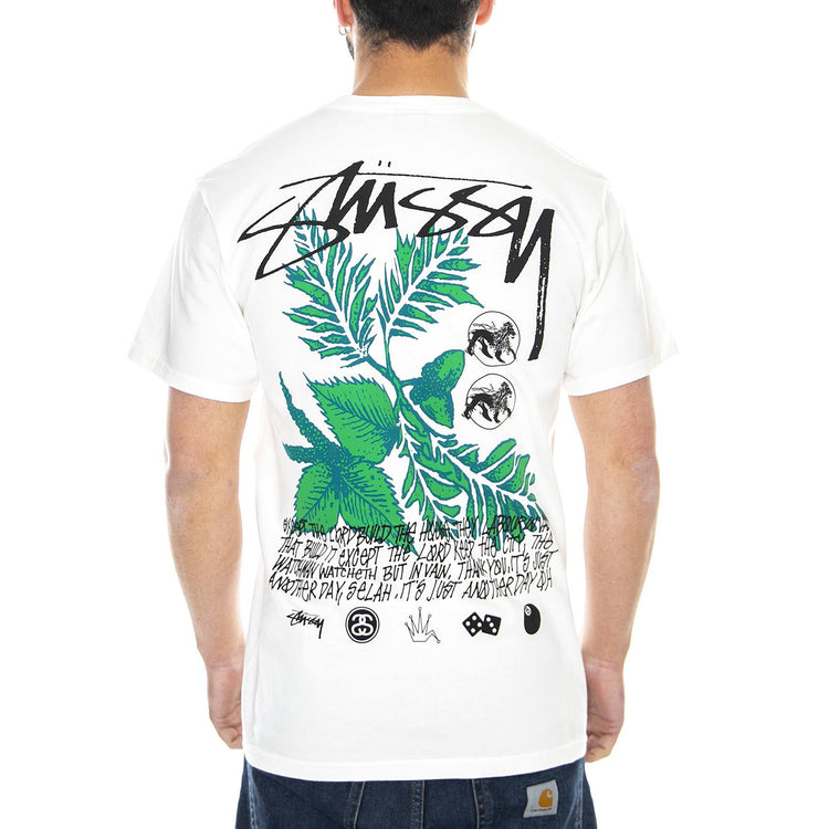  1904521-NATL  STUSSY 