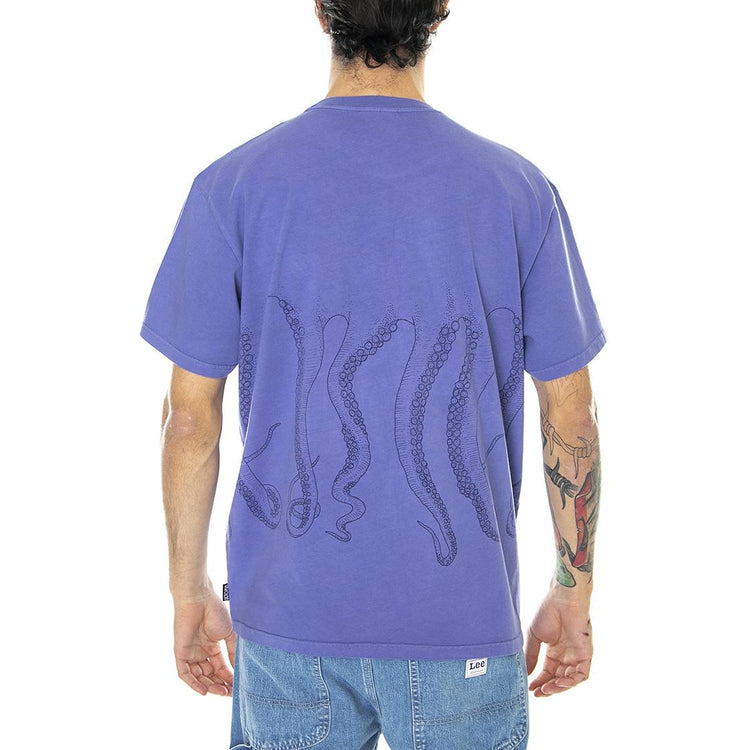  22SOTS04-AMETISTA  OCTOPUS 