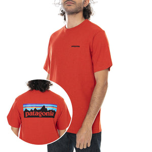  38504-HTE  PATAGONIA 